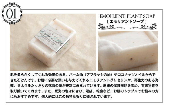 撮影キャンペーン