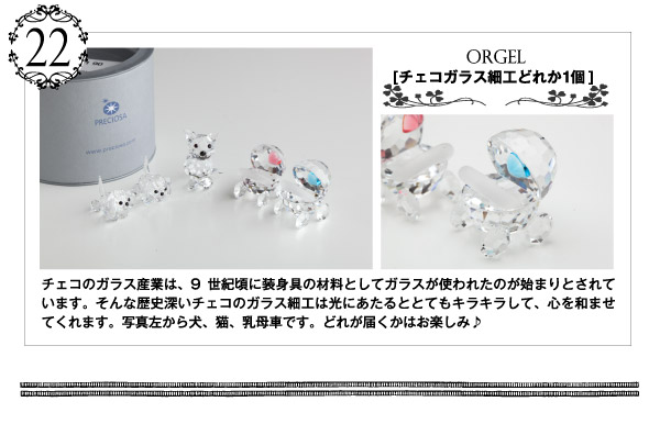 撮影キャンペーン